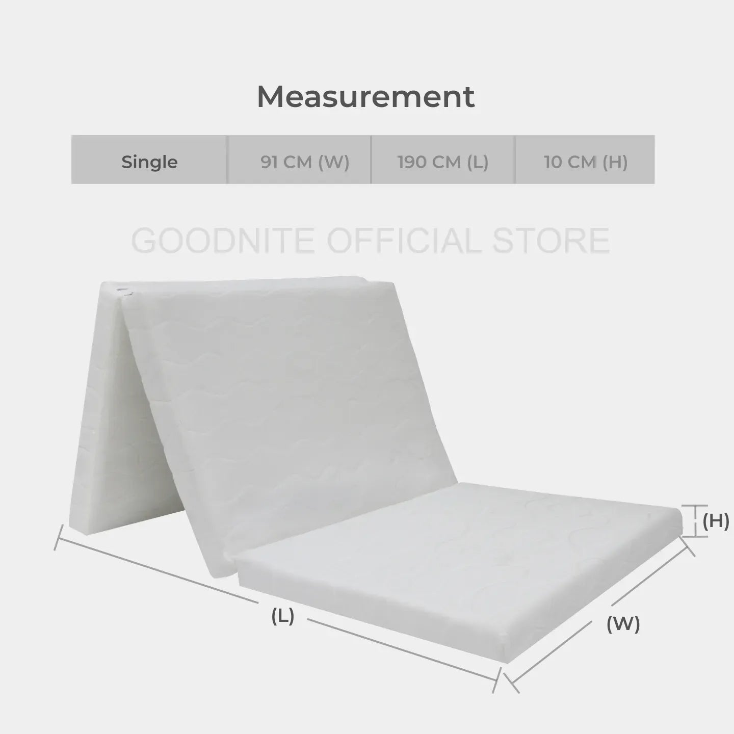 Goodnite Sealand Foldable Mattress (4 Inch), Removable Zip Cover