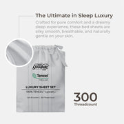Bedsheet Set 100% Tencel Jacquard (Single/ Super Single/ Queen/ King)