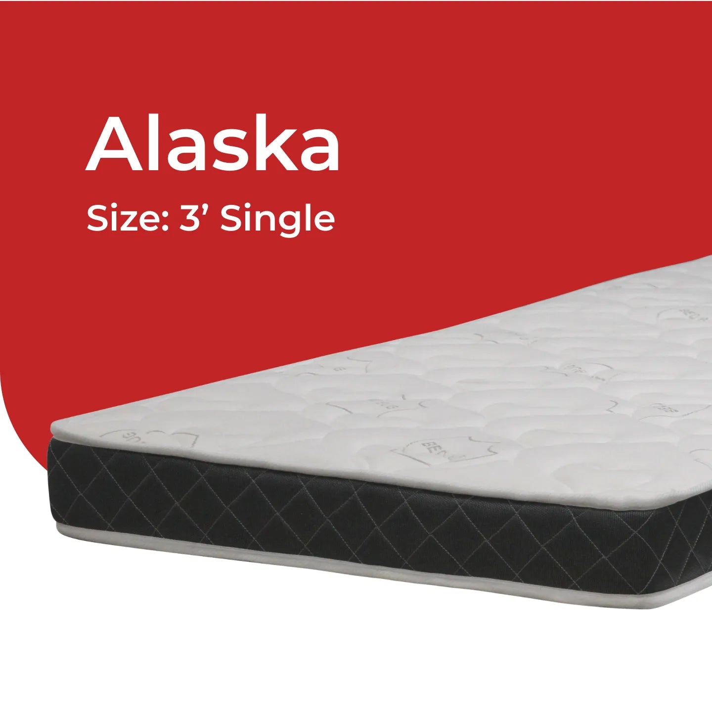 Goodnite Alaska Rebond Foam Mattress (5.5 Inch) with Single/ Super Single