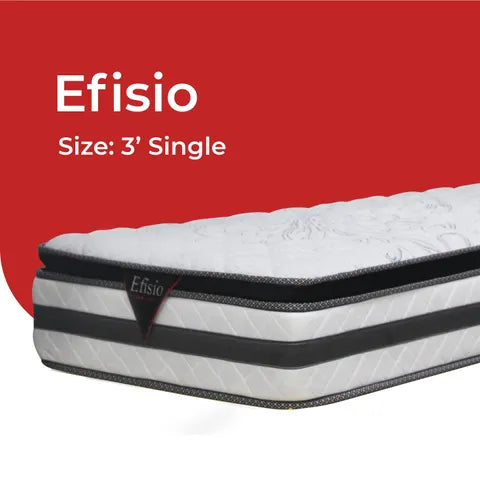 Goodnite Efisio 5 Zone Pocket Spring Mattress (12 Inch) with Single/ Super Single/ Queen/ King