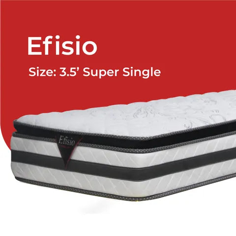 Goodnite Efisio 5 Zone Pocket Spring Mattress (12 Inch) with Single/ Super Single/ Queen/ King