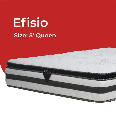 Goodnite Efisio 5 Zone Pocket Spring Mattress (12 Inch) with Single/ Super Single/ Queen/ King