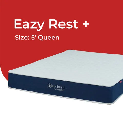 Goodnite Eazy Rest Compress Premier Density Foam Mattress (9 Inch) with Single/ Super Single/ Queen/ King