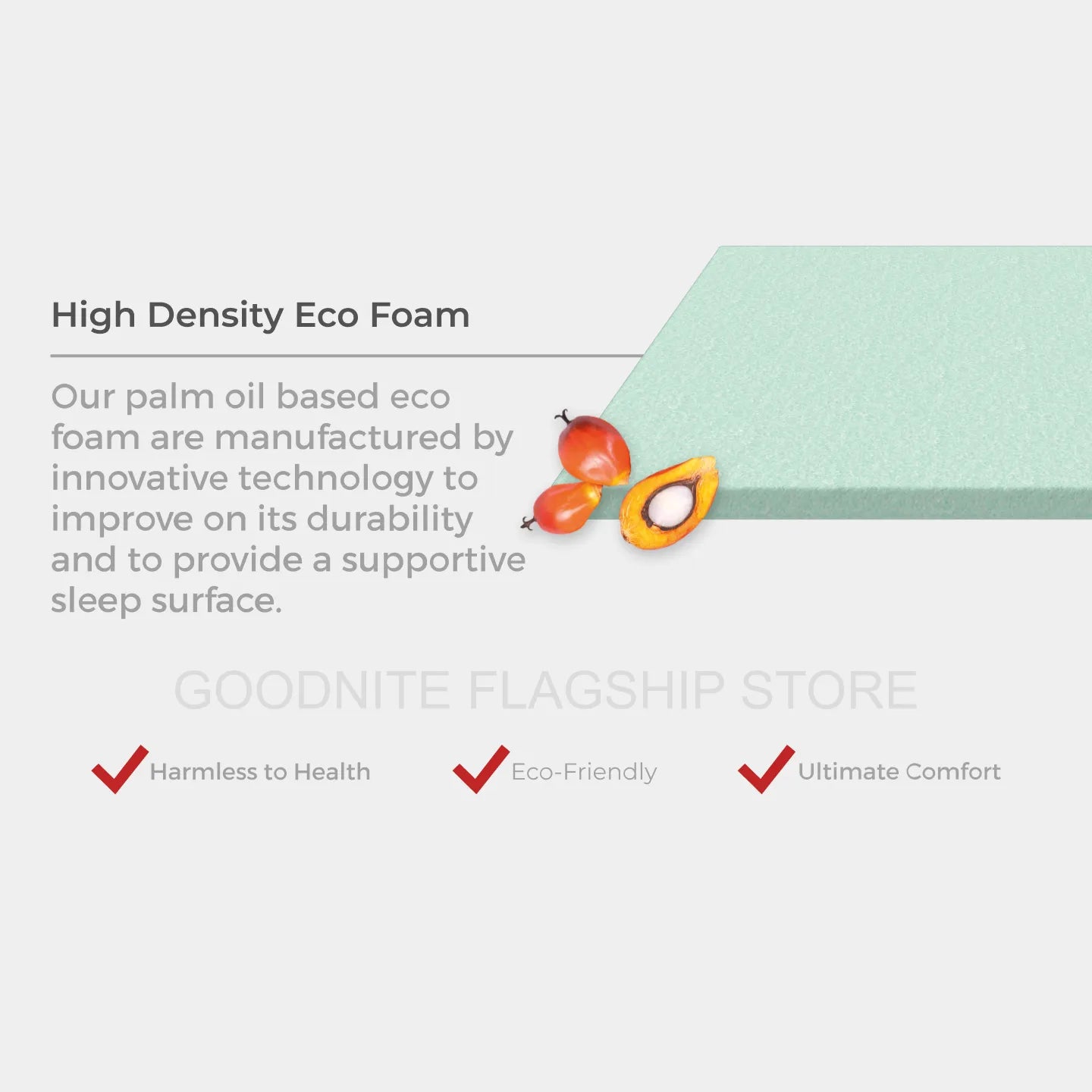 Goodnite Catalina Rebond Foam Mattress (5 Inch) with Single/ Super Single