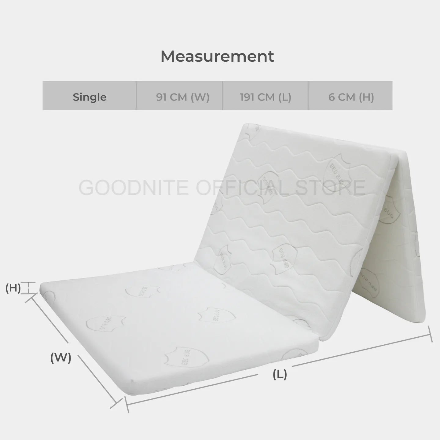 Goodnite Sky Foldable Mattress (2.5 Inch), Removable Zip Cover