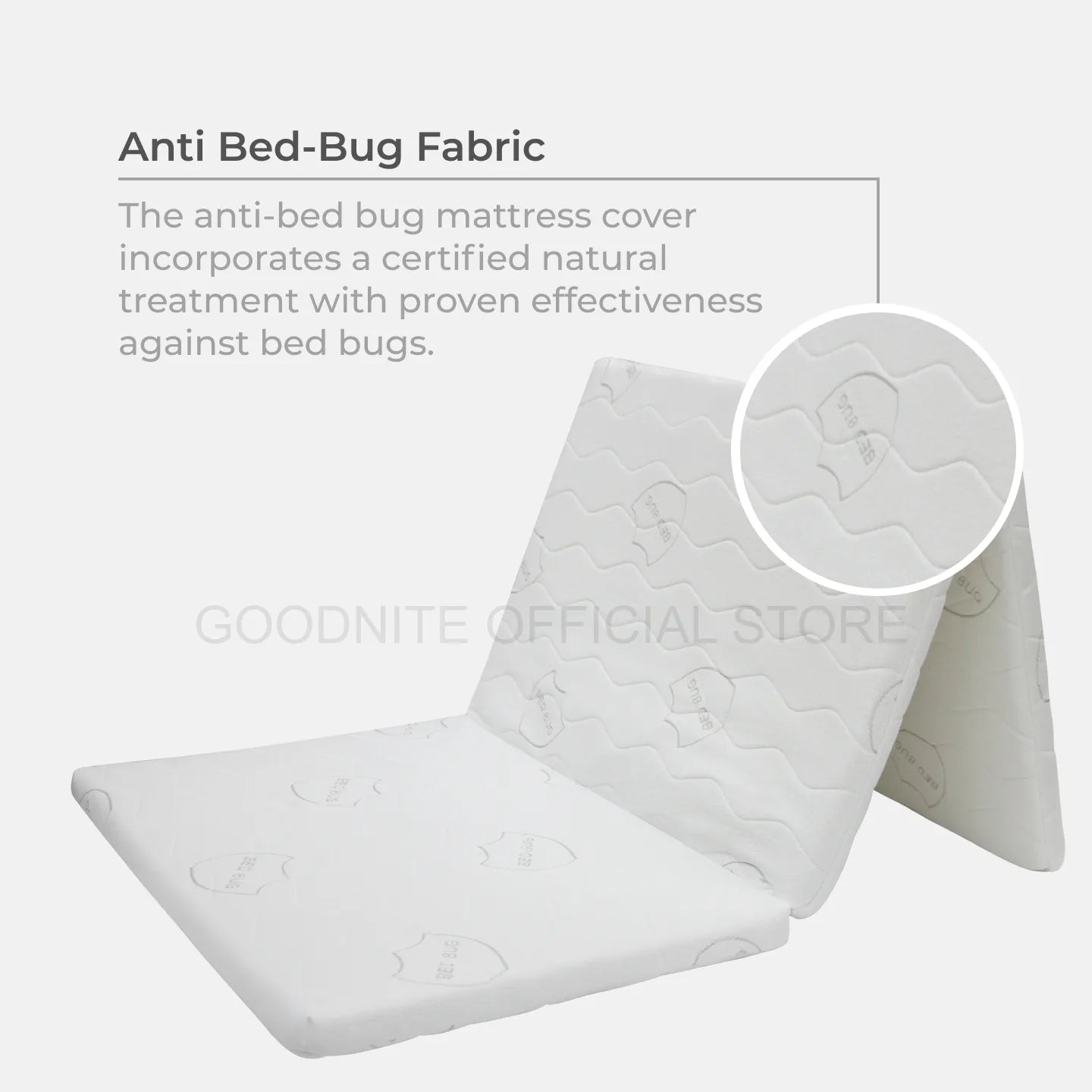 Goodnite Sky Foldable Mattress (2.5 Inch), Removable Zip Cover