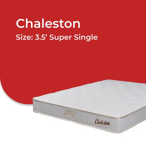 Goodnite Chaleston 6 Turn Posture Spring Mattress (9 Inch) with Single/ Super Single/ Queen/ King