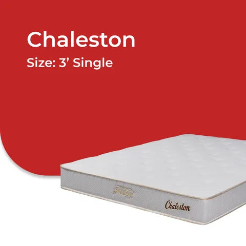Goodnite Chaleston 6 Turn Posture Spring Mattress (9 Inch) with Single/ Super Single/ Queen/ King
