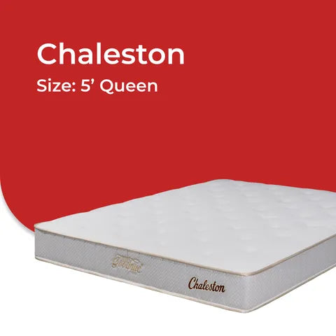 Goodnite Chaleston 6 Turn Posture Spring Mattress (9 Inch) with Single/ Super Single/ Queen/ King