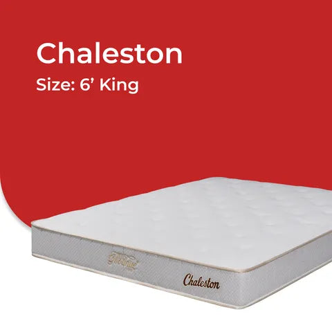 Goodnite Chaleston 6 Turn Posture Spring Mattress (9 Inch) with Single/ Super Single/ Queen/ King