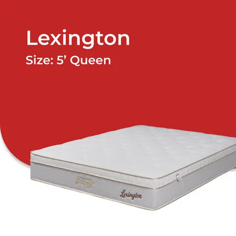 Goodnite Lexington 7 Turn Posture Spring Mattress (11.5 Inch) with Single/ Super Single/ Queen/ King