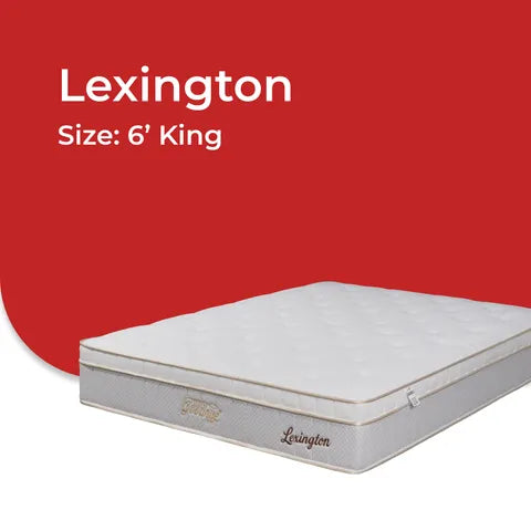 Goodnite Lexington 7 Turn Posture Spring Mattress (11.5 Inch) with Single/ Super Single/ Queen/ King