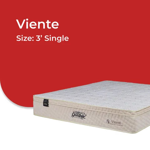 Goodnite Viente Coconut Fibre Mattress (10 Inch) with Single/ Super Single/ Queen/ King