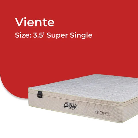 Goodnite Viente Coconut Fibre Mattress (10 Inch) with Single/ Super Single/ Queen/ King