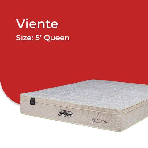 Goodnite Viente Coconut Fibre Mattress (10 Inch) with Single/ Super Single/ Queen/ King