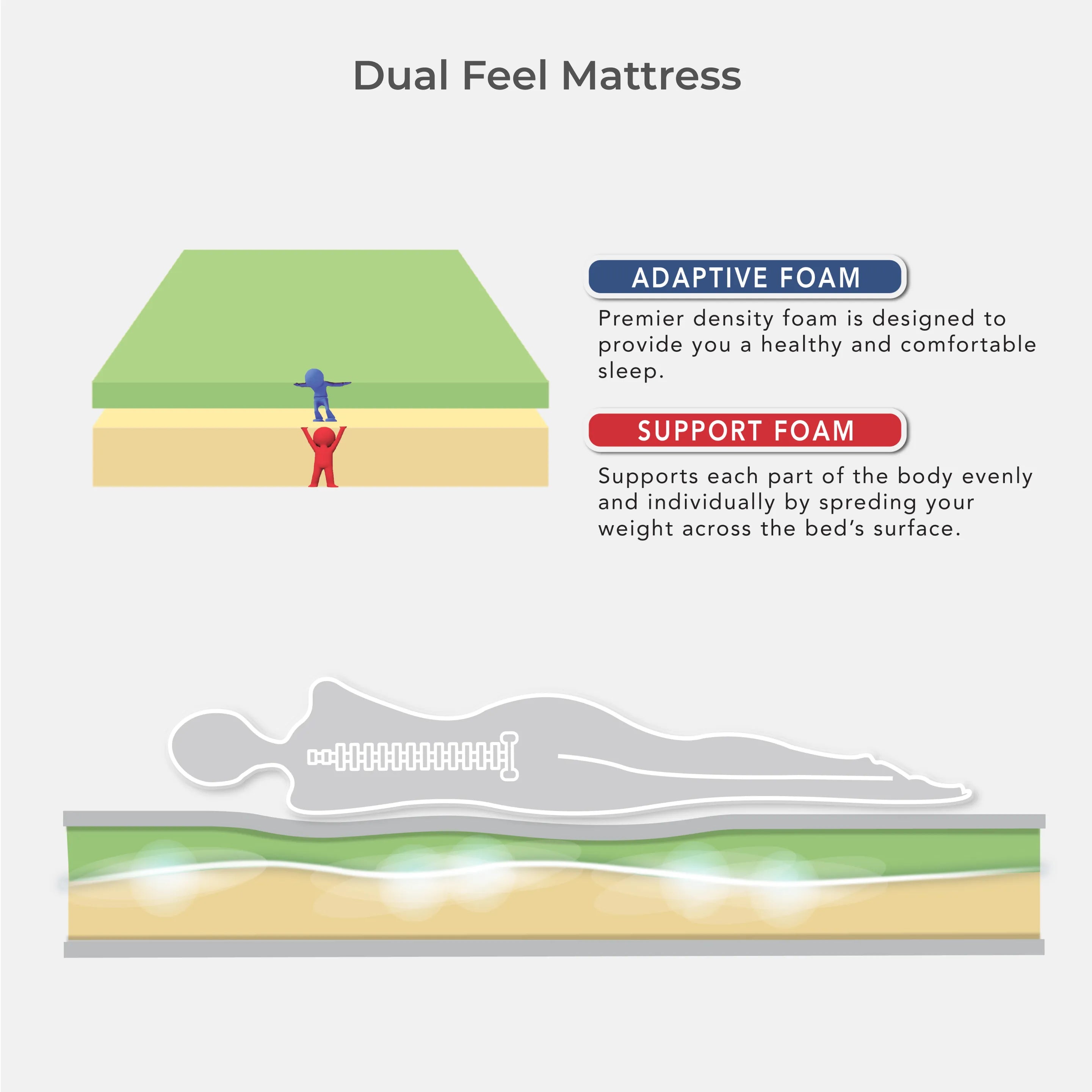 Goodnite Eazy Dream Compress Premier Density Foam Mattress (9 Inch) with Single/ Super Single/ Queen/ King
